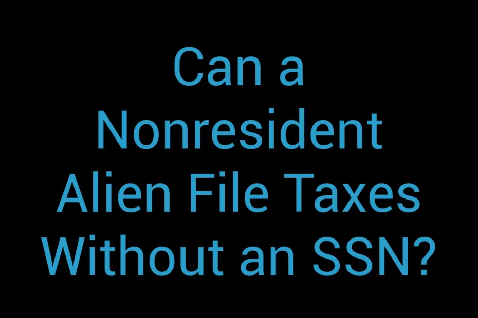 Can A Nonresident Alien File Taxes Without An Ssn