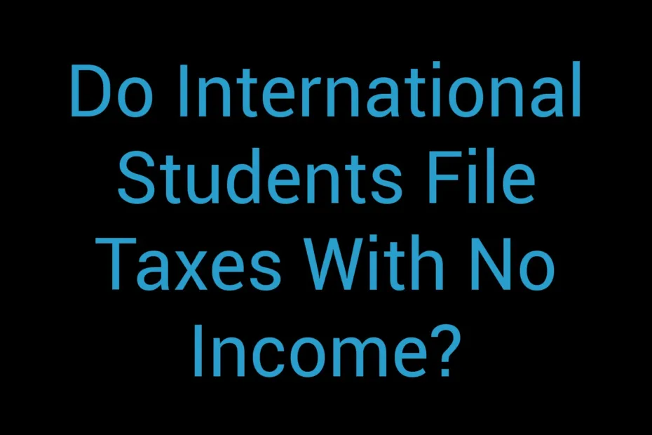 Do International Students File Taxes With No Income
